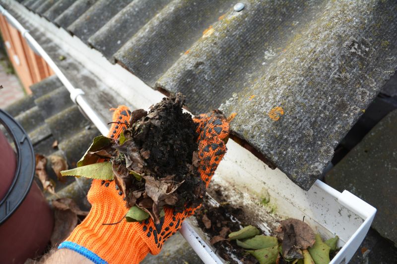 Clearing Debris from Gutters