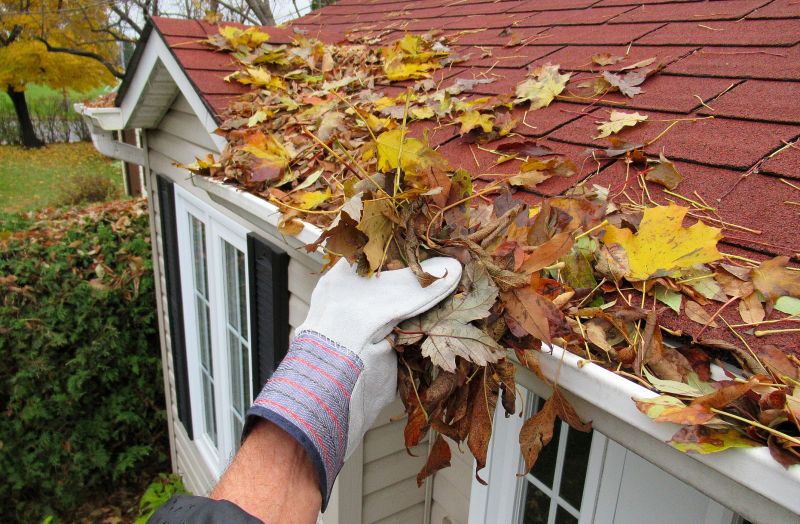 Residential Home Gutter Maintenance