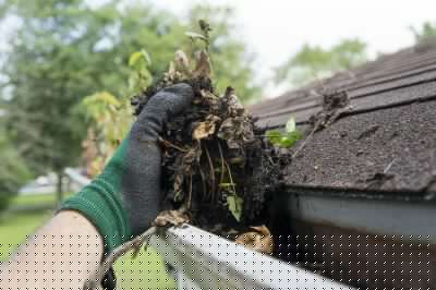 Gutter Clog Removal