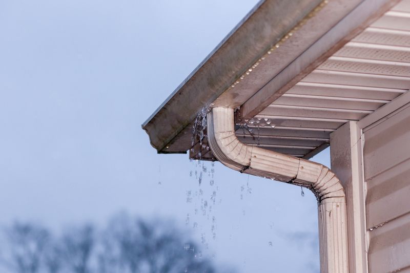 Gutter Cleaning and Maintenance