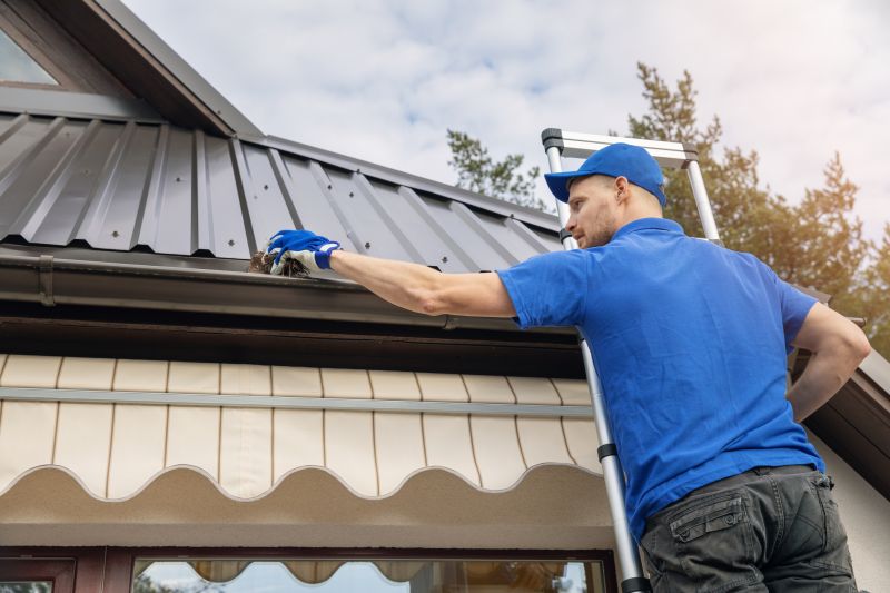 Gutter System Inspection