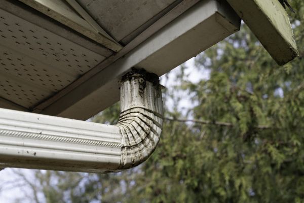 Cost of Roof Drain Replacement in Burlington